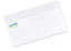 Picture of 2 PMS Spot Color Envelopes - Flat Print